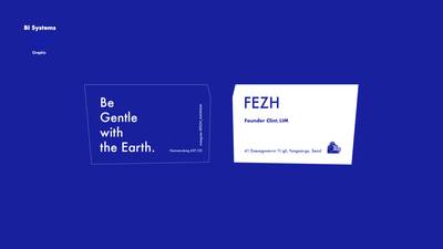 FEZH BI 시스템 — 